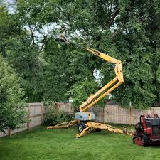 Best Lawn Maintenance Plans  in Poquott, NY