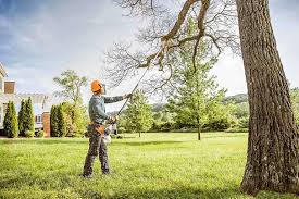 Best Firewood Processing and Delivery  in Poquott, NY